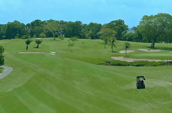 HOLE in ONE