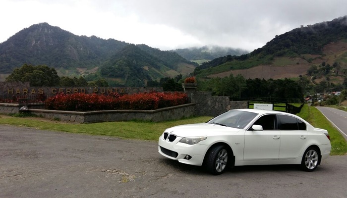 Luxury Car