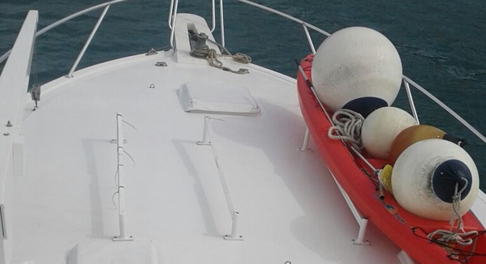 bertram yacht