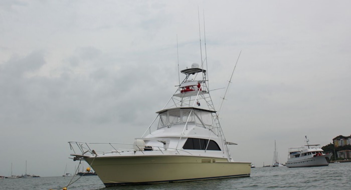 bertram yacht