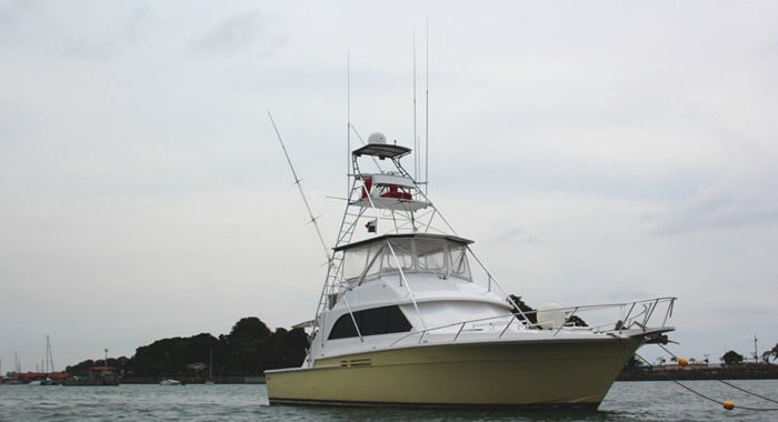 bertram yacht