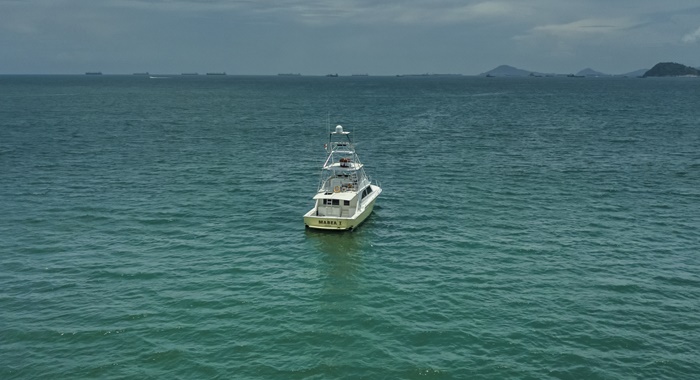 bertram yacht