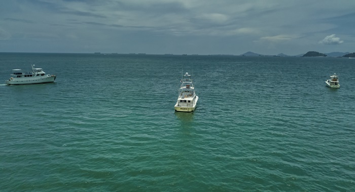 bertram yacht