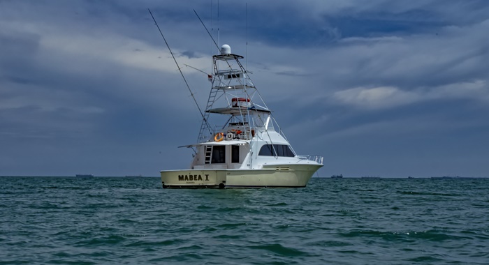 bertram yacht