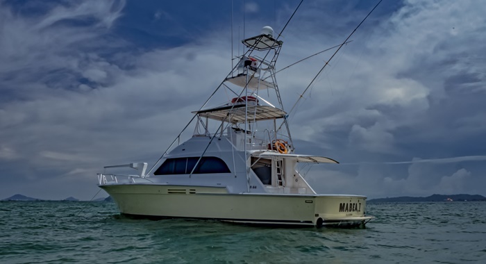 bertram yacht