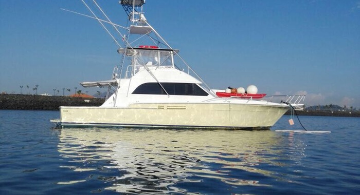 bertram yacht
