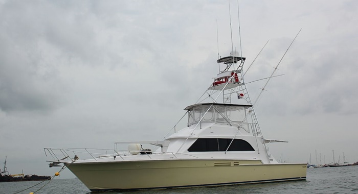 bertram yacht