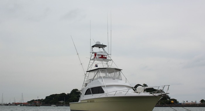 bertram yacht