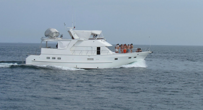 Bertram 44