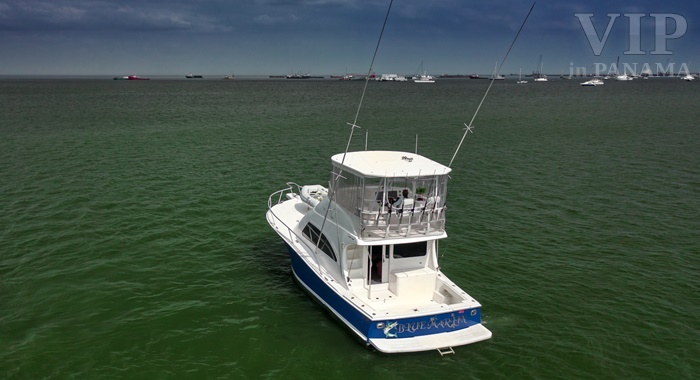Luhrs 36’ Yacht