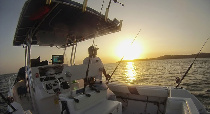ocean pro