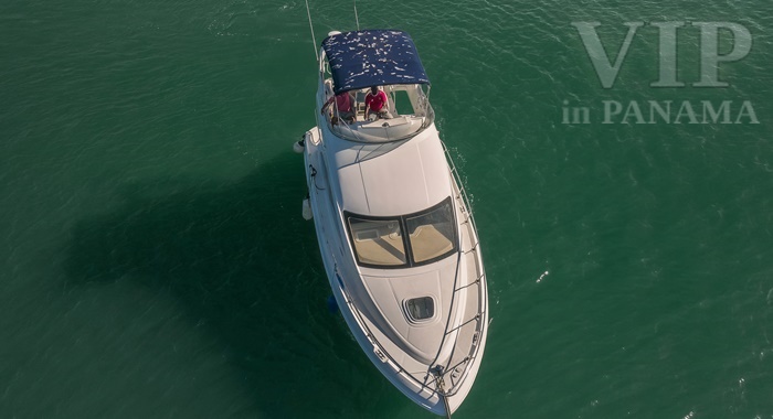 Sea Ray