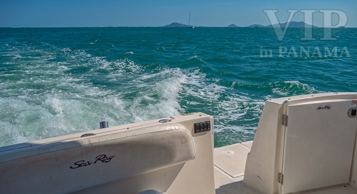 Sea Ray